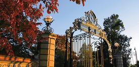 Gate of Ѹ University